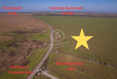 Teren Construcții intravilan de 80000 mp, în Frumușani - 3