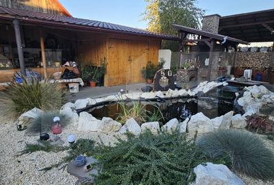 Casa de familie cu spatiu de relaxare complet - Sf.Gheorghe Casa de familie cu spatiu de relaxare complet - Sf.Gheorghe - 16