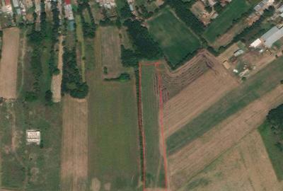 Teren de 6084 mp, în Ciocănari - 3