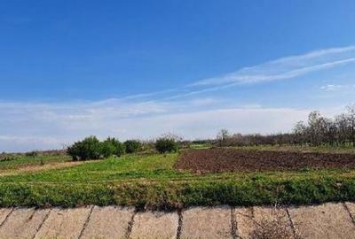 Teren extravilan, loc Obarsia, Jud Olt - 5