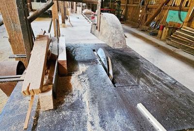 Proprietate imobiliara compusa din casa locuit,anexe,hala,Al.cel Bun Proprietate imobiliara compusa din casa locuit,anexe,hala,Al.cel Bun - 22