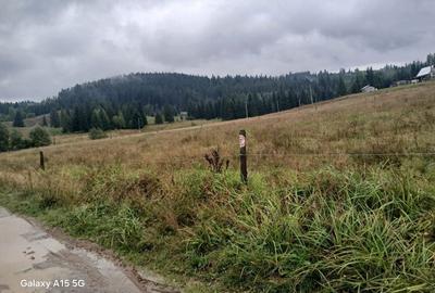 Spațiu comercial, în Poiana Stampei - 1