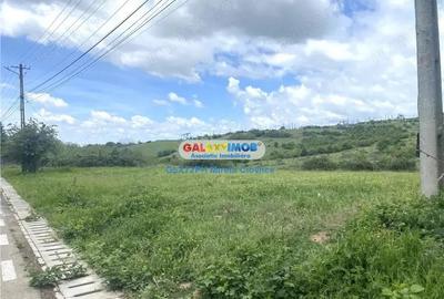 Vanzare teren intravilan Baicoi zona Tintea - 5