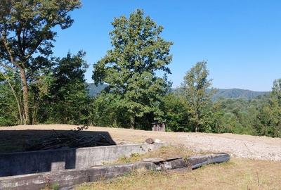 Casă cu 4 camere în Vad - 1