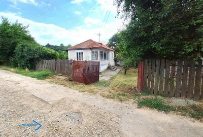 Casă cu 2 camere cu Teren 5361 Mp în Homești - 11