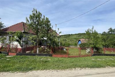 Casă individuală cu 4 camere cu Teren 2500 Mp în Ulieș - 5
