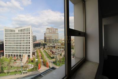 Birouri 60m,  vizavi de Iulius Mall - 1