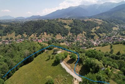 Proprietar, vand teren intravilan cu priveliste asupra Muntilor Bucegi - 1