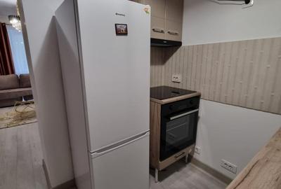 Apartament mobilat si utilat in Rin Grand Hotel- Vitan Barzesti - 16