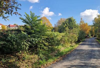 Teren de 5000 mp, în Bucium - 2