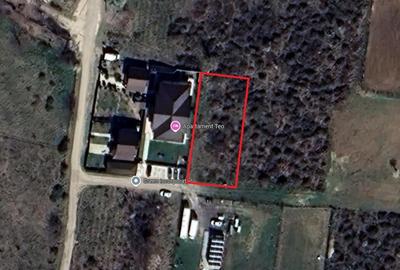 Spațiu comercial, în Bucium - 4