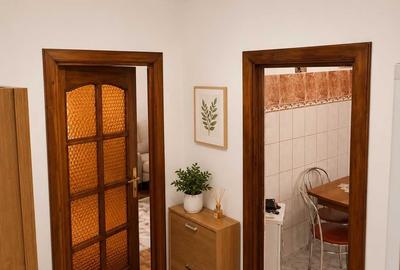 Apartament cu 2 camere semidecomandat în Ultracentral - 8