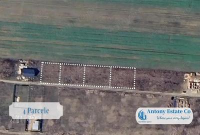 Teren de 500 mp, în Paleu - 4