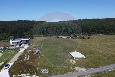 Teren de 3322 mp, în Paltin