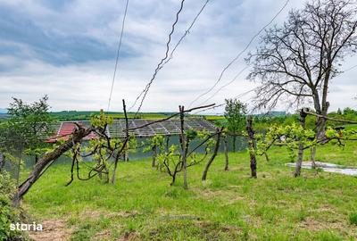 Spațiu comercial, în Ardeoani - 7
