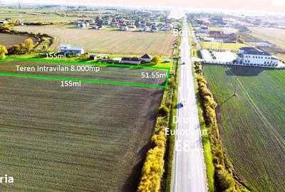 Teren de 8000 mp, în Botiz - 4