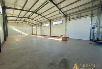 Spațiu industrial, de 400 mp, în Vest - 4