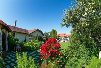 Tur LIVE! O emblema a turismului in Sanpetru, Hotel Bielmann - 59
