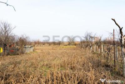 Casă cu 2 camere cu Teren 3036 Mp în Borș - 10