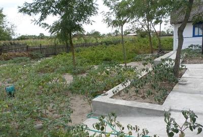 Casă cu 4 camere în Letea - 6