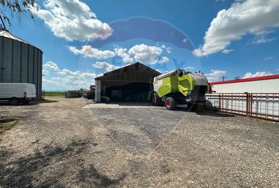 Spațiu industrial, de 5,000 mp, în Tișița - 24