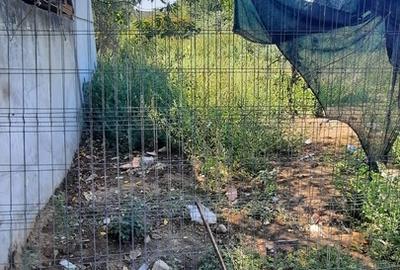 Zetari, str. ND Cocea Zetari, str. ND Cocea - 4