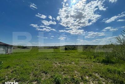 Teren de 1716 mp, în Priseaca - 3