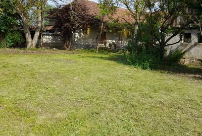 Casă cu 3 camere în Valcău de Jos - 16