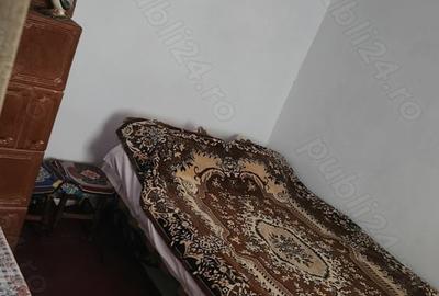 Casă cu 4 camere în Frumoasa - 10