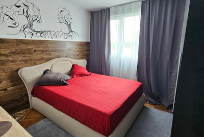 Apartament cu 2 camere semidecomandat, mobilat în Grivița - 7