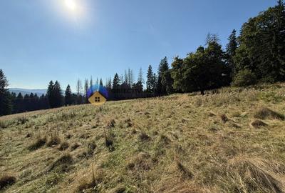 Teren de vanzare 5000 mp - Piatra Neamt - 1