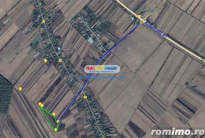 Teren de 25000 mp, în Uliești - 3