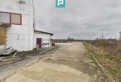 Hală de producție, cu birouri și teren, în Sebiș - 53