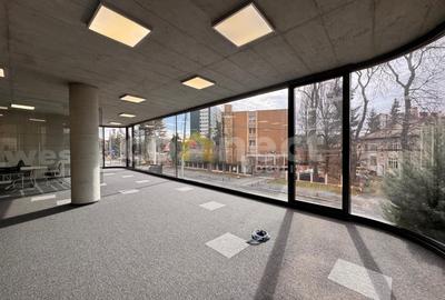 Birou, de 284 mp, în Plopilor - 4