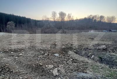 Spațiu comercial, în Central - 1