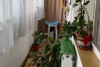 Apartament 3 camere confort 1 etaj 4 Obor - 10