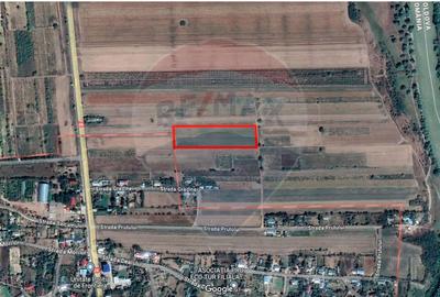 Teren Construcții intravilan de 7000 mp, în Oancea - 3