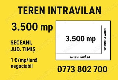 Teren intravilan 3.500mp -Seceani jud. Timis de inchiriat - 1