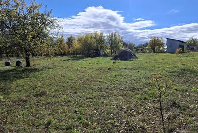 Casă cu 5 camere cu Teren 7017 Mp în Pruni - 10
