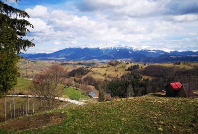 Spațiu comercial, în Peștera - 1