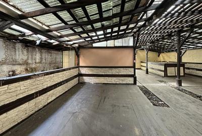 Grădină Ultracentral Ideal HoReCa - direct proprietar - 8