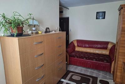 Garsonieră semidecomandată în Vest - 1