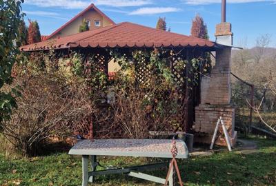 Casa moderna, cu livada, foi?or ?i garaj, Pucioasa, Dambovita - 2