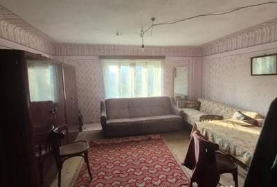 Casă cu 2 camere cu Teren 3000 Mp în Bârgău - 6