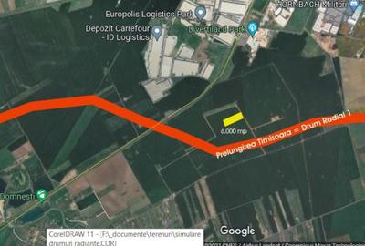 Teren de 6000 mp, în Domnești