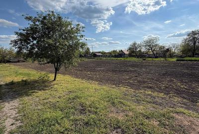 Casă cu Teren 1400 Mp în Dorobanți - 6