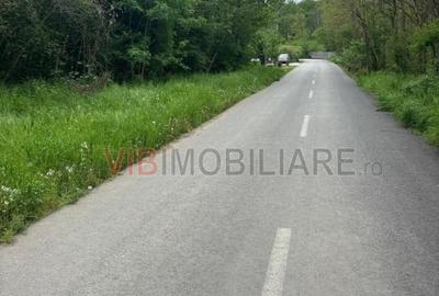 Dragomiresti Deal - Strada Pinului - 2
