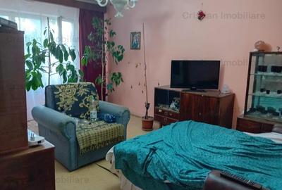 Apartament cu 2 camere decomandat în Viziru 3