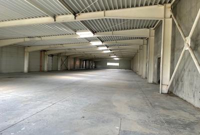 Hala de vanzare, situata in Sanandrei, judetul Timis - 11