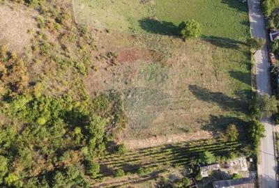 Teren de 4267 mp, în Satu Nou (Panciu) - 8